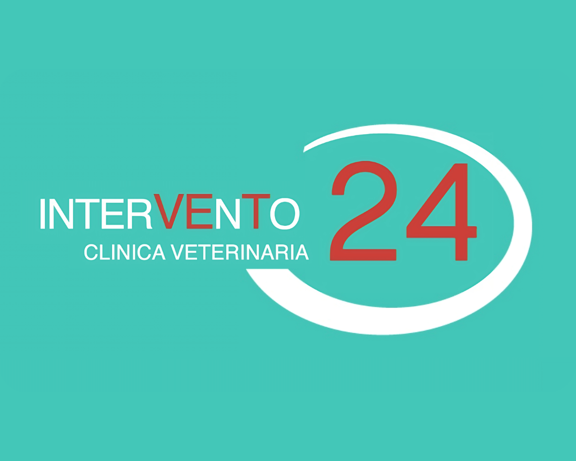 intervento24
